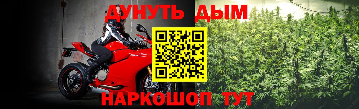 Каннабис ГИДРОПОН  Конопля марихуана  Орёл  Каннабис семена  Вход с VPN 